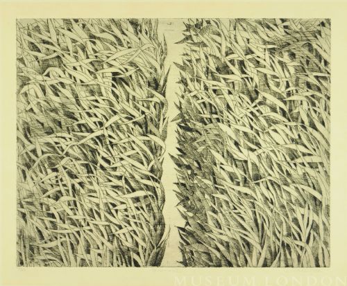 GRASSES II