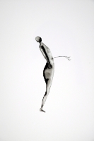 BELLY TWIG (MALE)