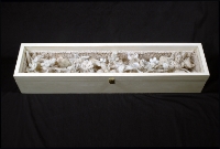 GARDEN BOX