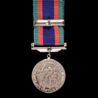 Voluntary Service Medal