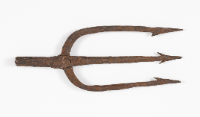 Trident Fishing Spear