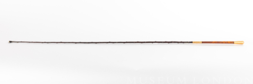 Sir. Adam Beck's Coach Whip