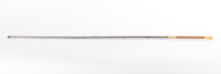 Sir. Adam Beck's Coach Whip