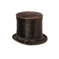 Beaver Skin Top Hat