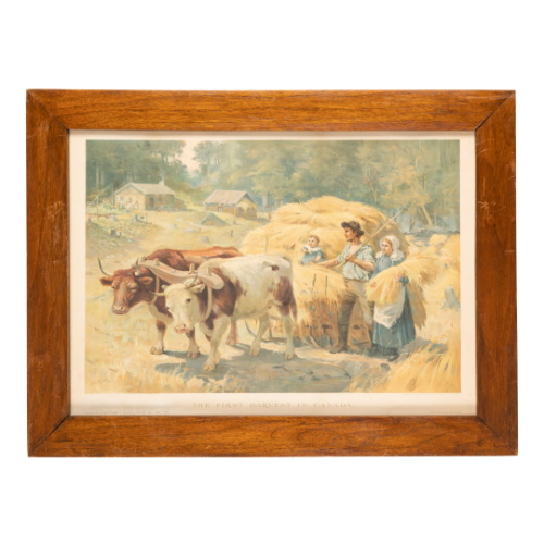 "The First Harvest in Canada"