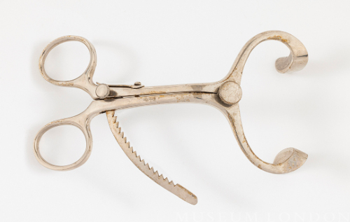 Oral Retractor (Mouth Gag)
