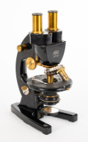 Stereoscopic Microscope