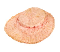 Pink Ruched Hat