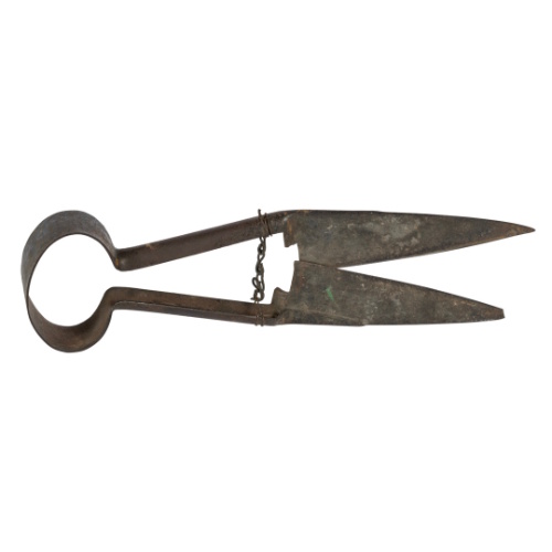 Iron Sheep Shears