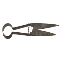 Iron Sheep Shears