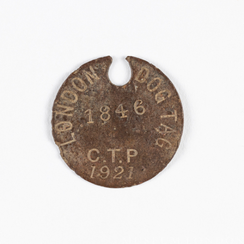 Dog License Tag (1921)