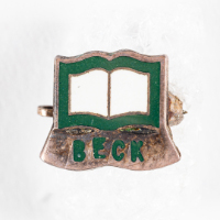 "Beck" Lapel Pin
