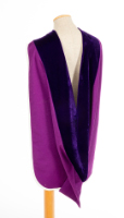 Purple and Blue Academic Hood