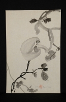 Kaki (Tokyo)
