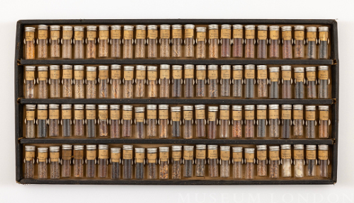 Seed Collection