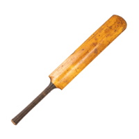 Cricket Bat