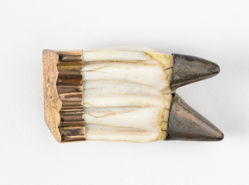 Tooth with Brass Capping Brooch