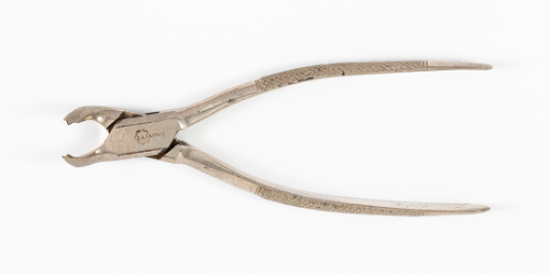 Dental Extractor