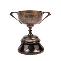 Cricket Cup - Ontario Hospital Challenge, 1924