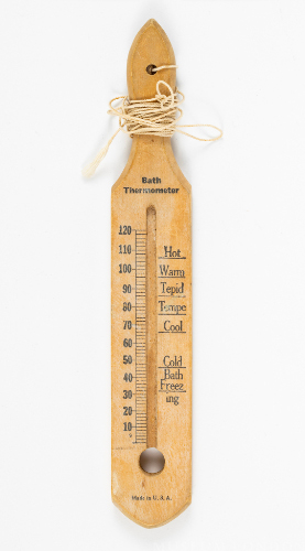 Hydrotherapy Room Thermometer