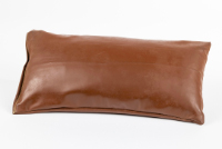 Hydrotherapy Tub Pillow