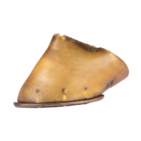 Hoof - Oxshoe