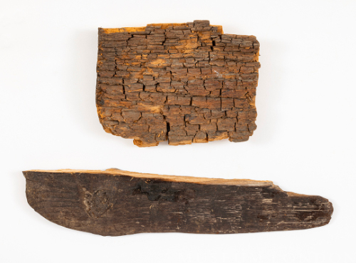 Charred Wood