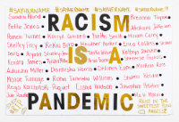 "Racism is a Pandemic" Black Lives Matter Demonstration Sign