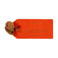 35 Views of London, Canada in a Nutshell Souvenir