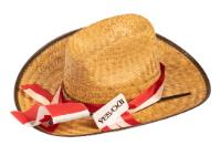 Souvenir Political Campaign Hat