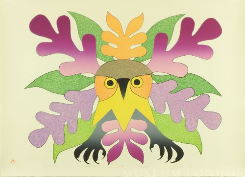 Summer Owl