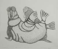 Walrus