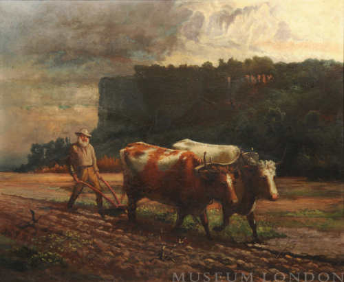 Oxen Ploughing