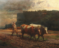 Oxen Ploughing