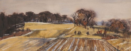 Untitled [fields and trees in Spring]