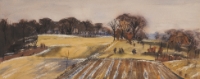 Untitled [fields and trees in Spring]