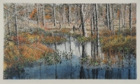 Hailstorm Creek